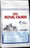 Royal Canin Maxi Starter M&B 15kg