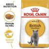 Royal Canin British Shorthair34  2kg