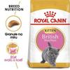 Royal Canin British Shorthair kitten  400g