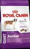 Royal Canin Giant  Junior  15kg
