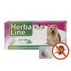 Spot-On Herba Line malý pes přírodní olejový 1x1ml 1ks