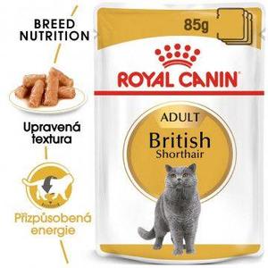 Royal Canin kapsa British Shorthair  85g