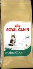 Royal Canin Maine Coon Kitten 400g