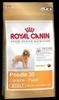 Royal Canin Poodle pudl 1,5kg