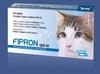 Fipron Spot-On Cat 1x0,5ml
