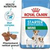 Royal Canin Mini Starter M&B 4kg