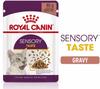 Royal Canin kapsa Sensory Taste štáva 85g