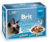 Brit Premium Cat kapsa Delicate Fillets in Gravy Pate 12x85g 1020g